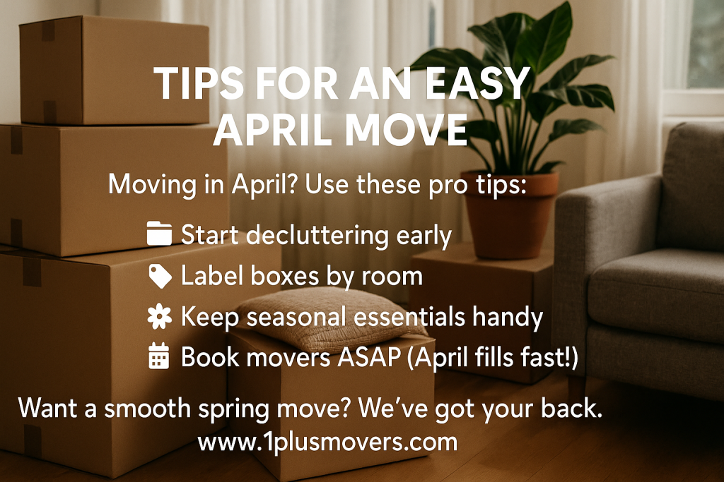Image Of Spring Clean Tips By 1+Movers | Best Moving Company In Houston, Tx